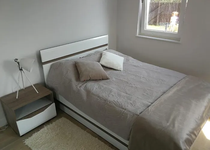 Zielone Zacisze 公寓 *